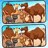 Spot 5 Differences Deserts